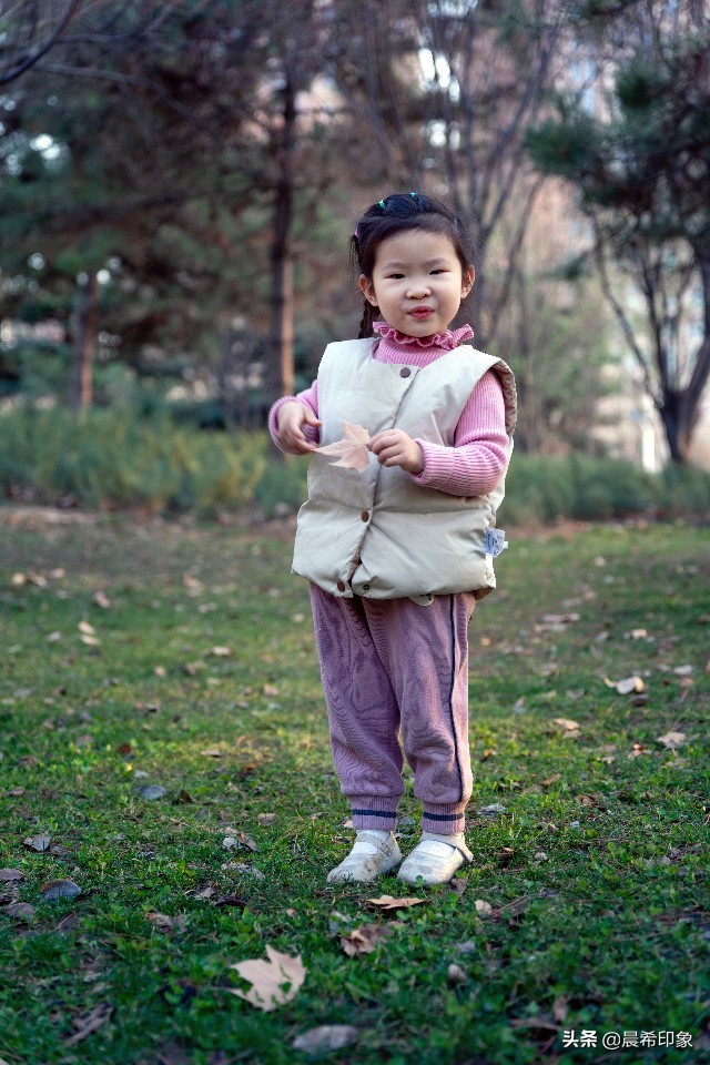 我的第一台相机作品,单反入门级相机推荐