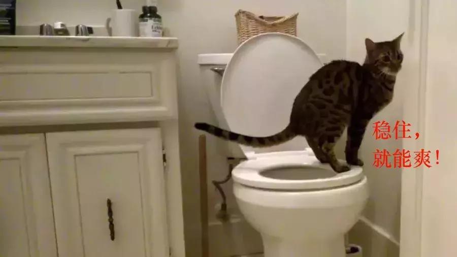 拉粑粑姿势不对后果很严重，来测测你的姿势对不对