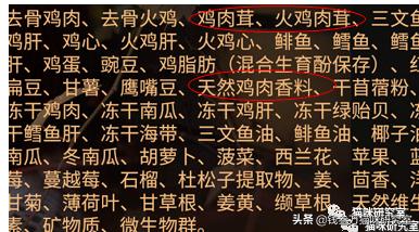 纽翠斯猫粮啥时候降价,纽顿猫粮和纽翠斯猫粮哪个更好