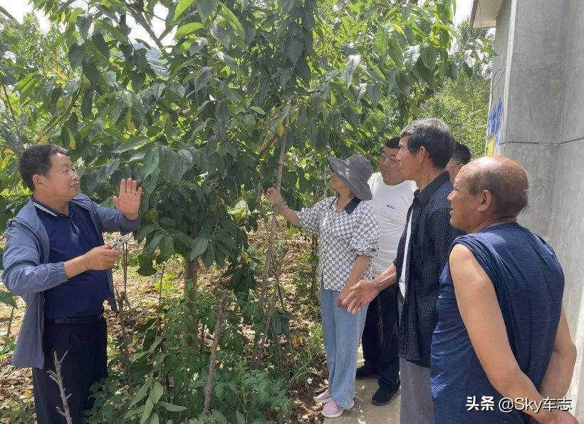 7万公里老款宝马x5,宝马x5的优缺点