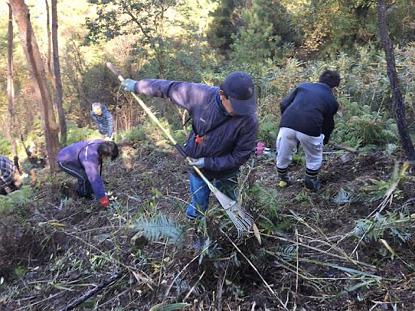 一朵蘑菇,一朵蘑菇是什么意思