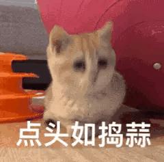 今日表情包第三弹图片,今日表情包收藏