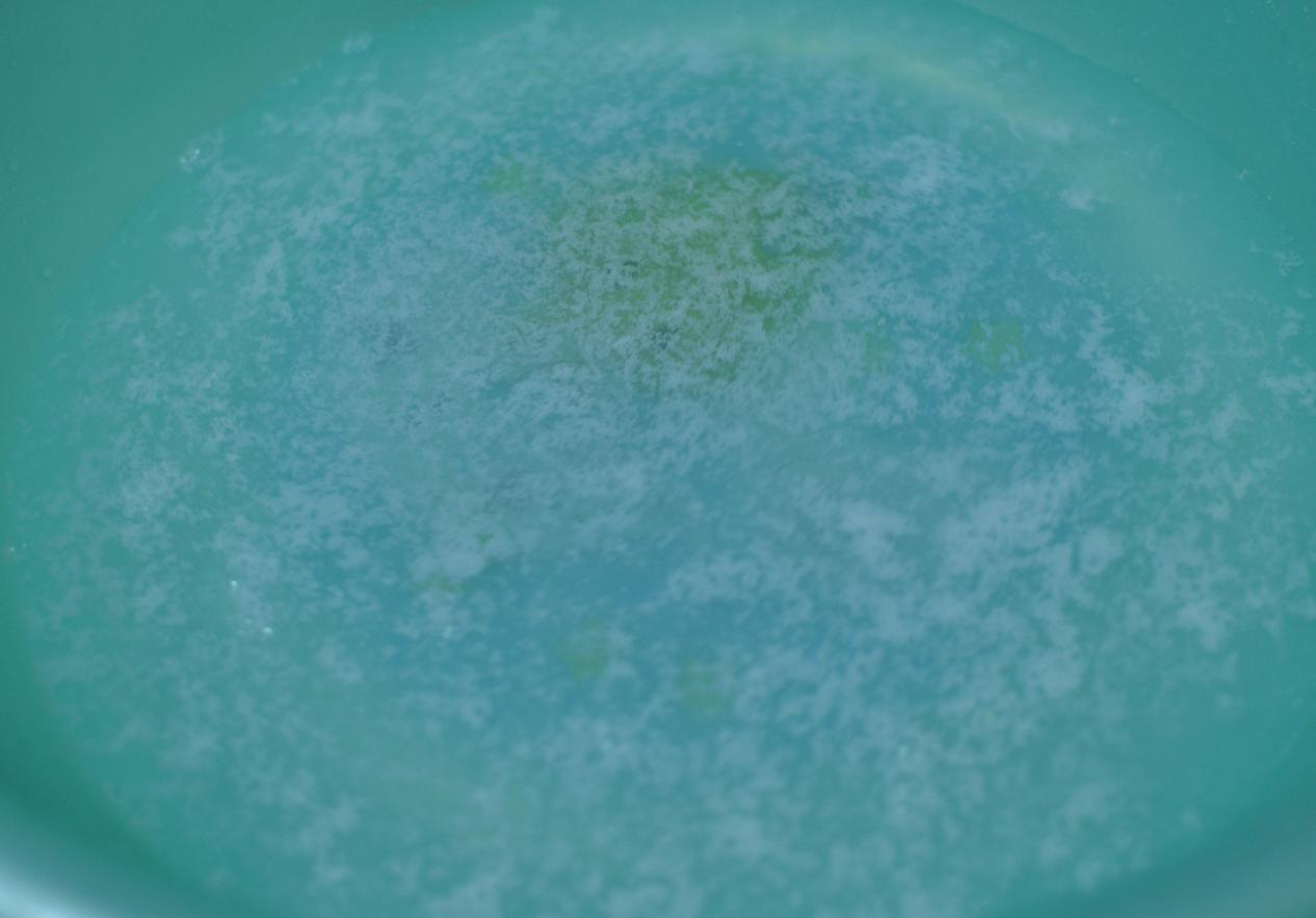 佳尼特净水器官方旗舰店直播,佳尼特净水器299