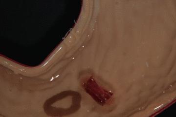 折纸大神的所有折纸,折纸大神教折纸