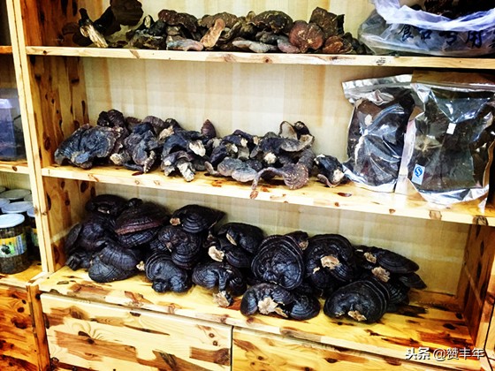 “大头”？“被宰”？咋“装”成地道东北人去买长白山土特产