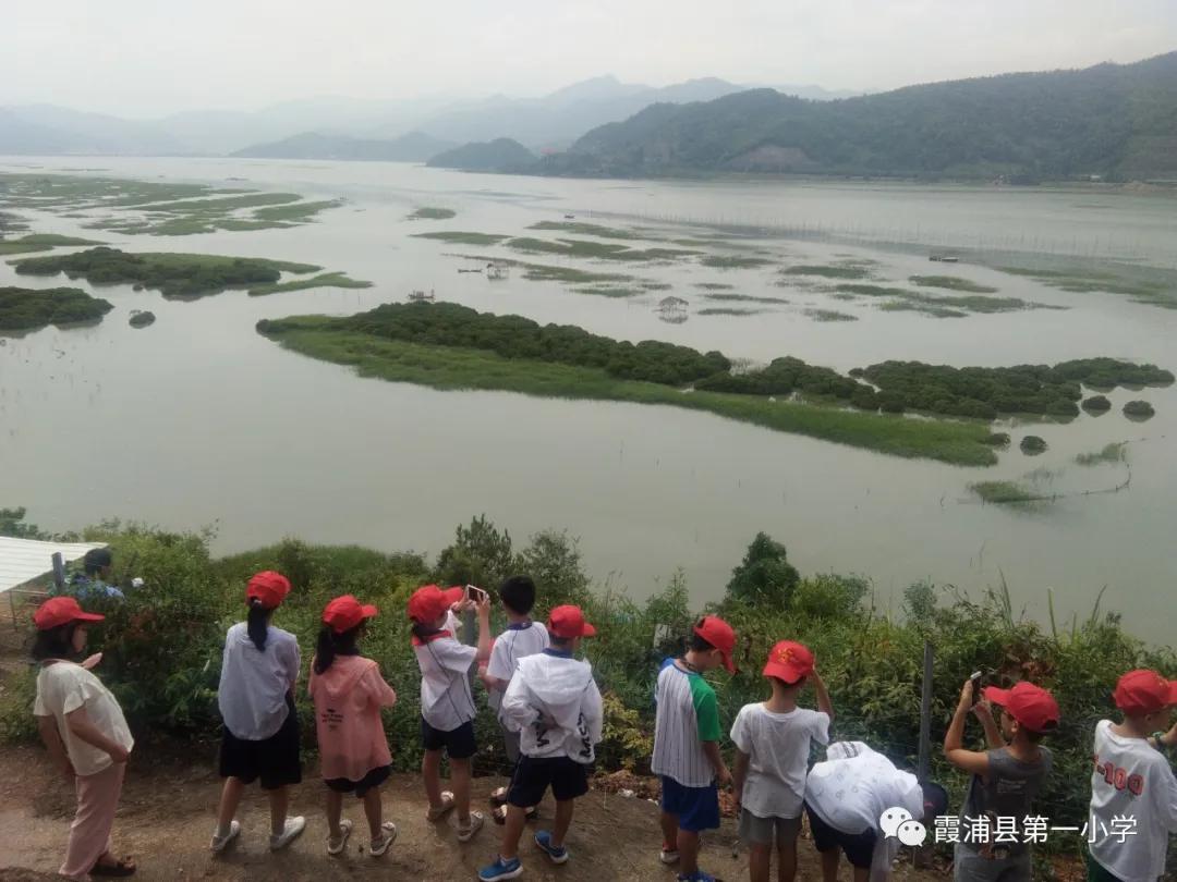 霞浦一中高一新生夏令营,霞浦县夏令营
