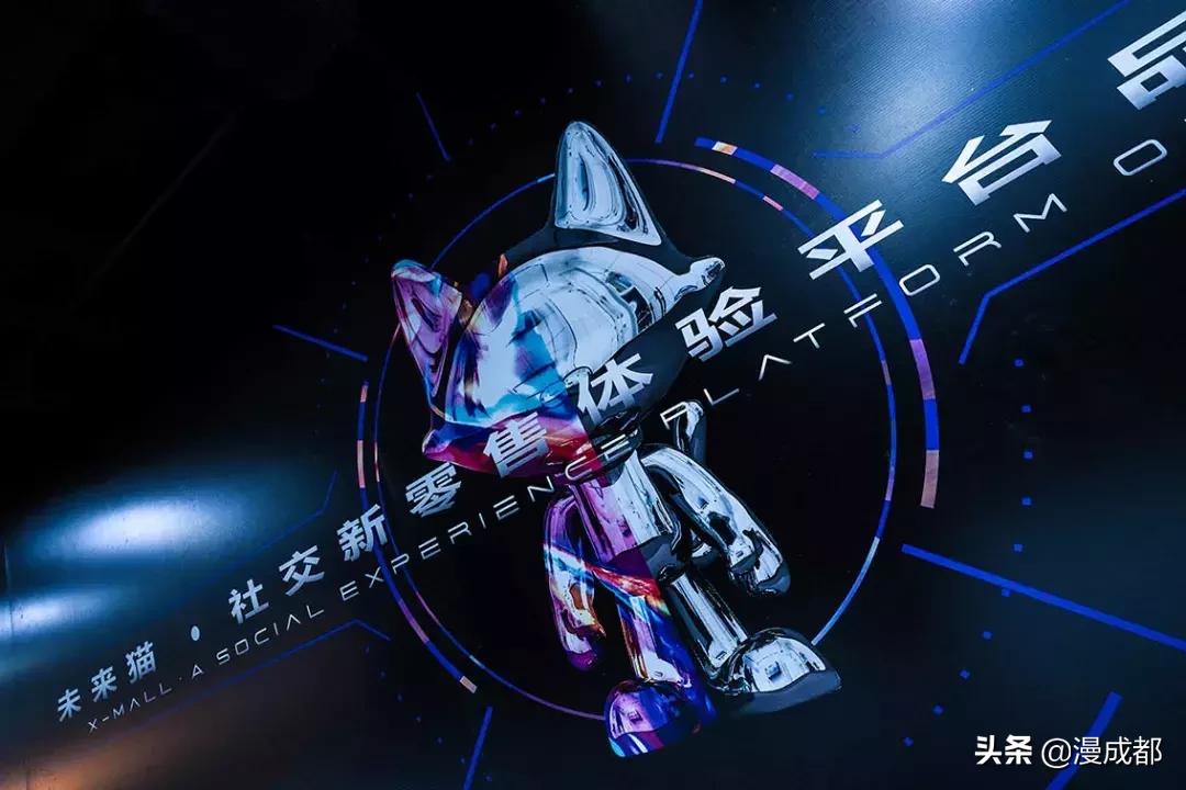 未来猫是什么品种,未来猫简介