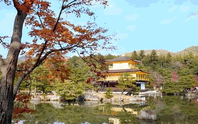 日本京都自由行攻略,日本京都旅游随记