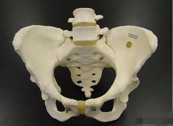 怎么学会胯部发力,摆胯扭胯练习基本功入门