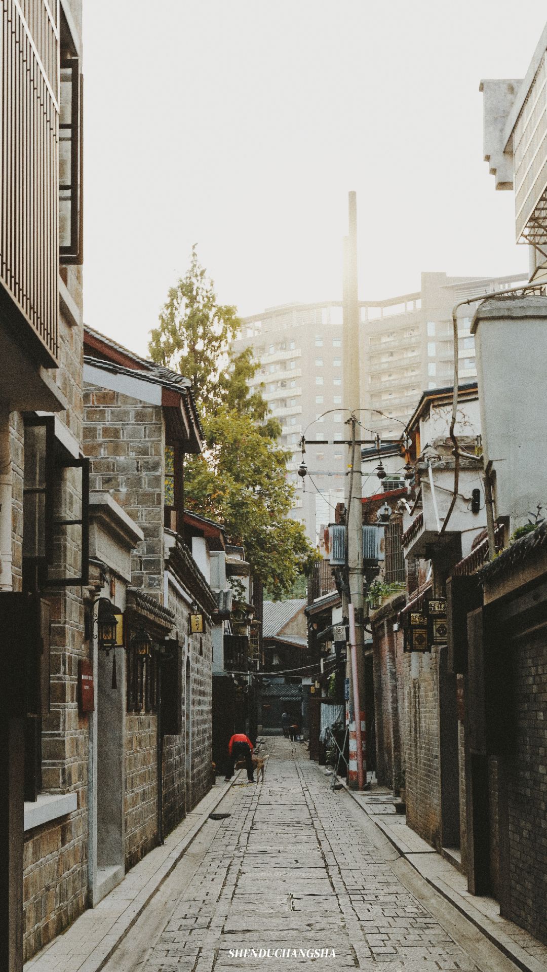 长沙秋季旅游景点推荐,长沙旅游攻略必玩的十大景点推荐