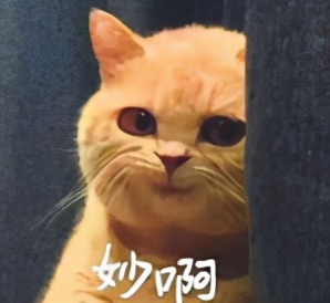 为什么说塞尔达是满分神作,塞尔达传说只有30帧吗