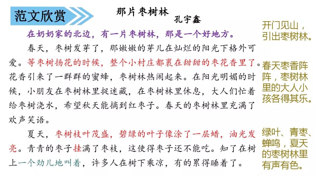 三年级作文这儿真美300个字怎么写,这儿真美优秀范文300字作文三年级
