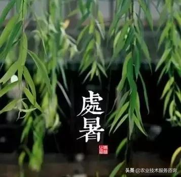 农事节气谚语,农事歌大全