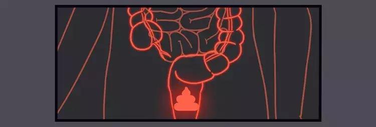 一紧张就想拉大便怎么回事,为什么一紧张就想拉大便