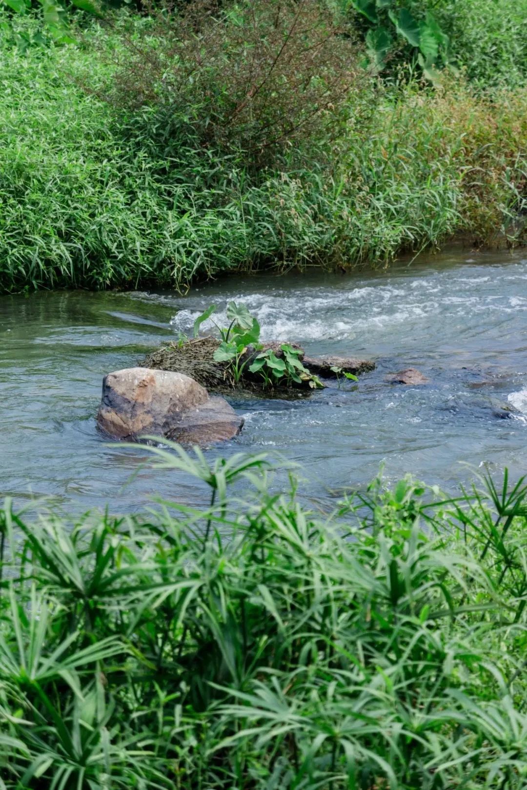 深圳地铁7号线有什么好玩的,深圳地铁十四号线游玩攻略