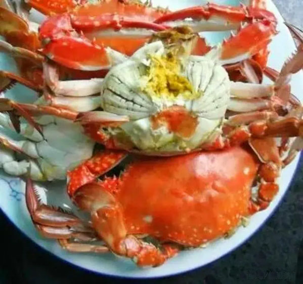 一招学会挑肥美梭子蟹,梭子蟹挑选小窍门怎么挑螃蟹