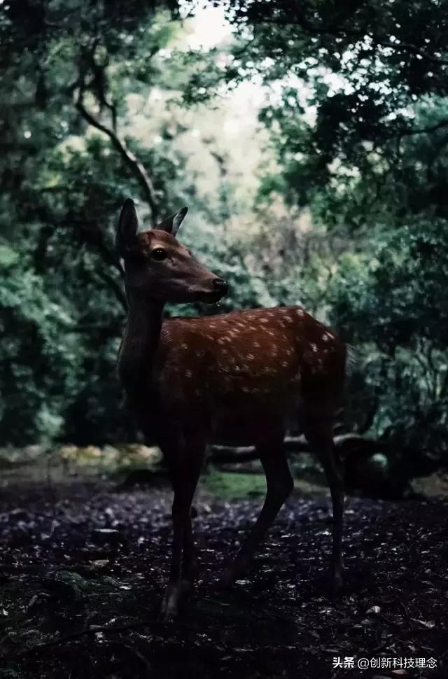 梁冬对人的忠告,梁冬关于睡眠的话题