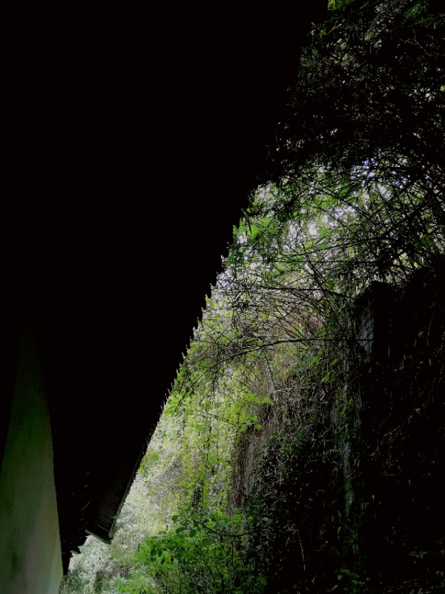 绍兴越王山的历史传说,绍兴古越龙山风景区