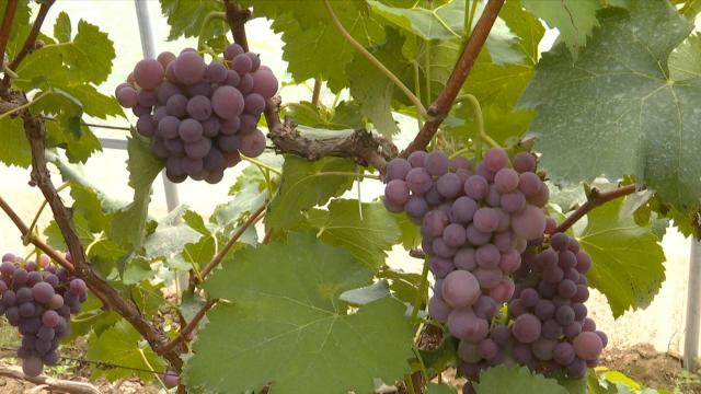 奋斗百年路启航新征程简介,奋斗百年路启航新征程是什么