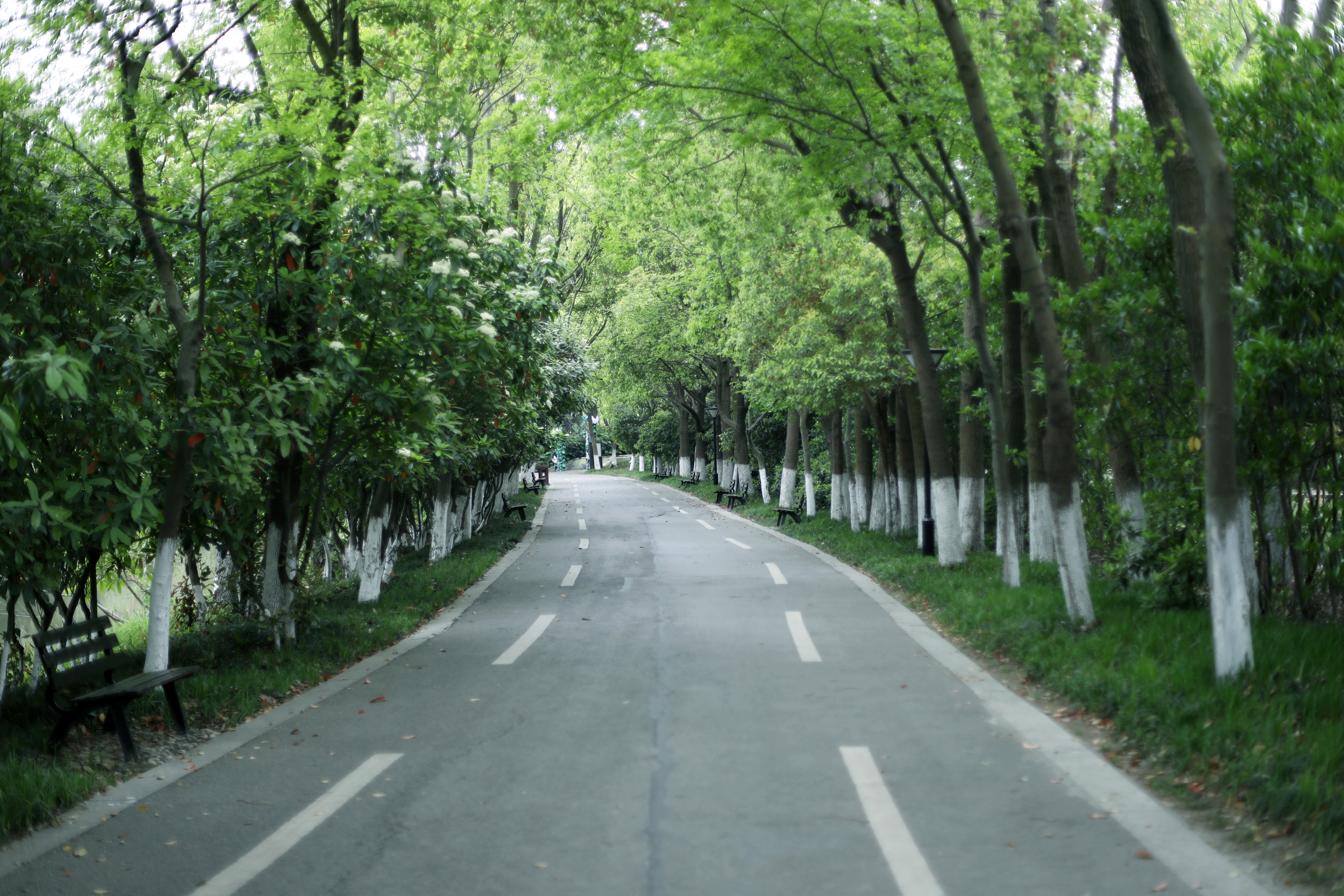 常熟水上花田旅游攻略,常熟水上游玩攻略