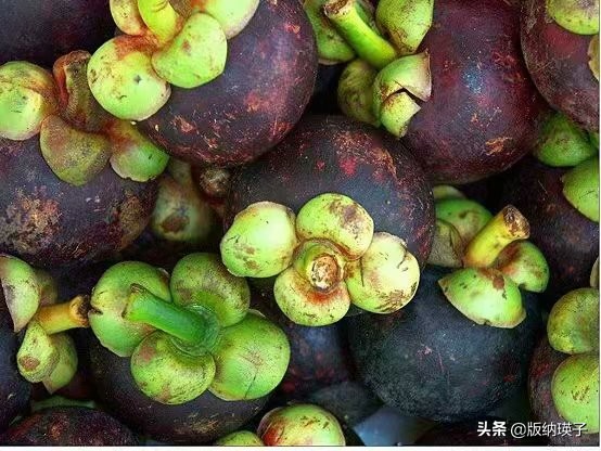 山竹的正确吃法怎么挑选山竹,怎么挑选到不会玻璃心的山竹