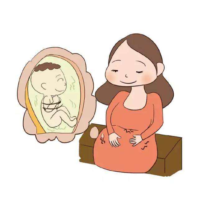 怀孕6周胎儿有意识吗,怀孕六个月胎儿胎动应该是怎样的