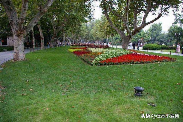 东莞以西湖命名的游乐园，是一个风景很美的地方