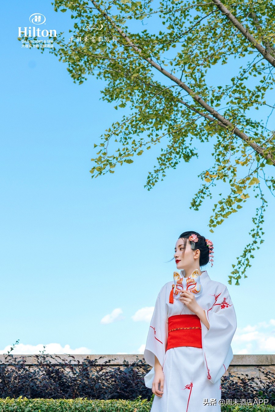 大理古城旁漫步洱海苍山脚下民宿,大理洱海排名前十的悬崖酒店