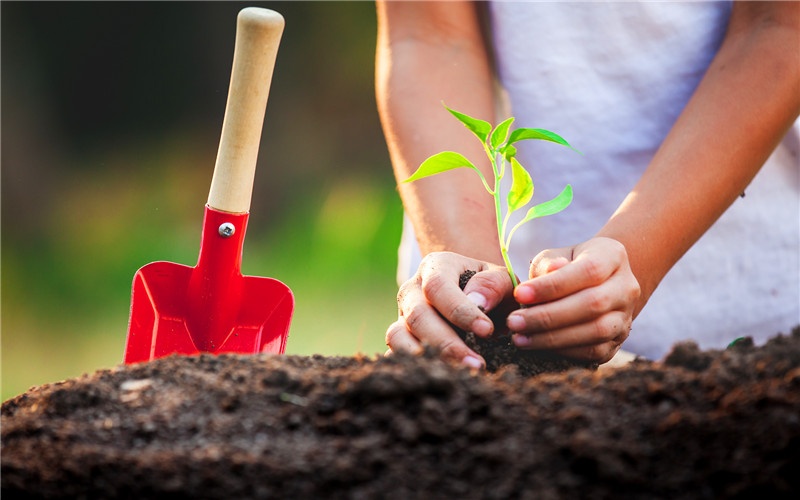 100个农村小型办厂项目,农村小型加工办厂项目有哪些