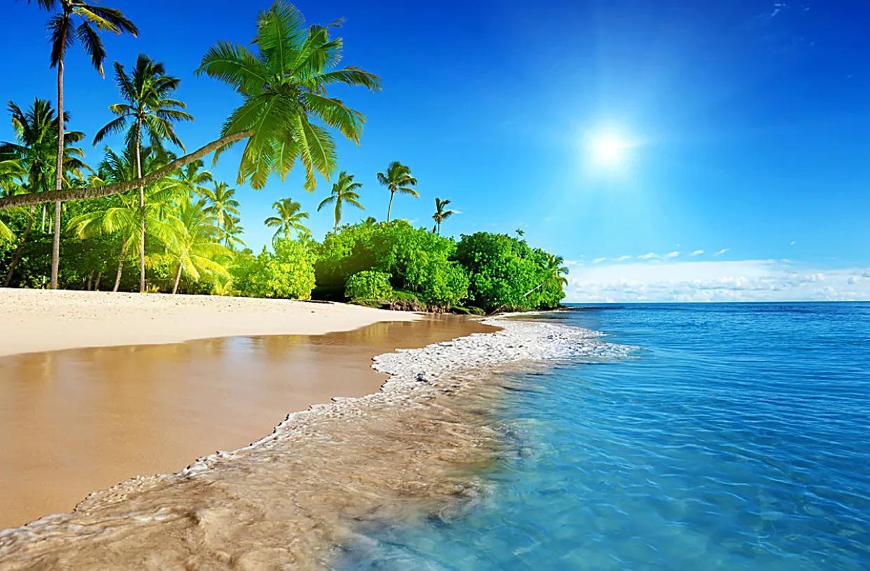 巴戟天的药理作用及临床应用,巴戟天医学科普