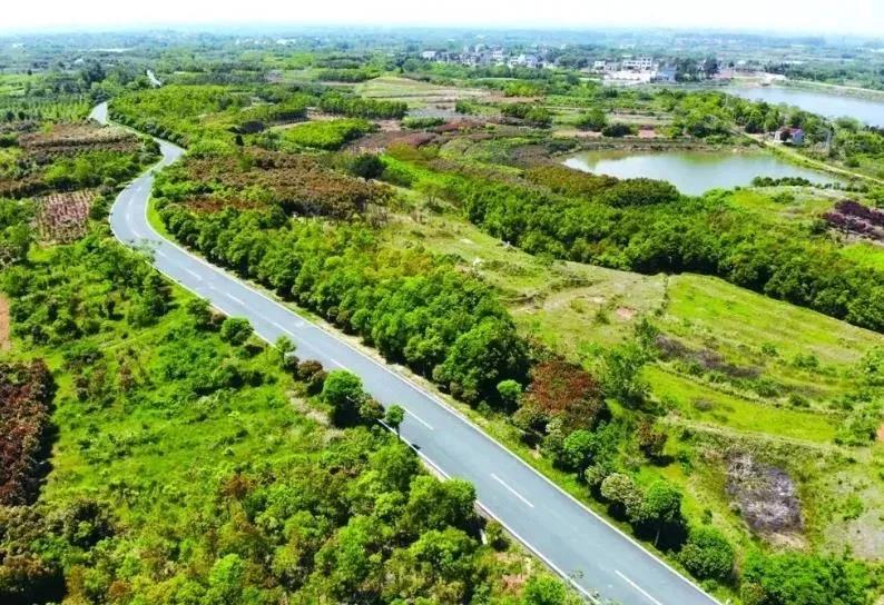 黄峰：“苗”准新商机“种”下二次创业梦