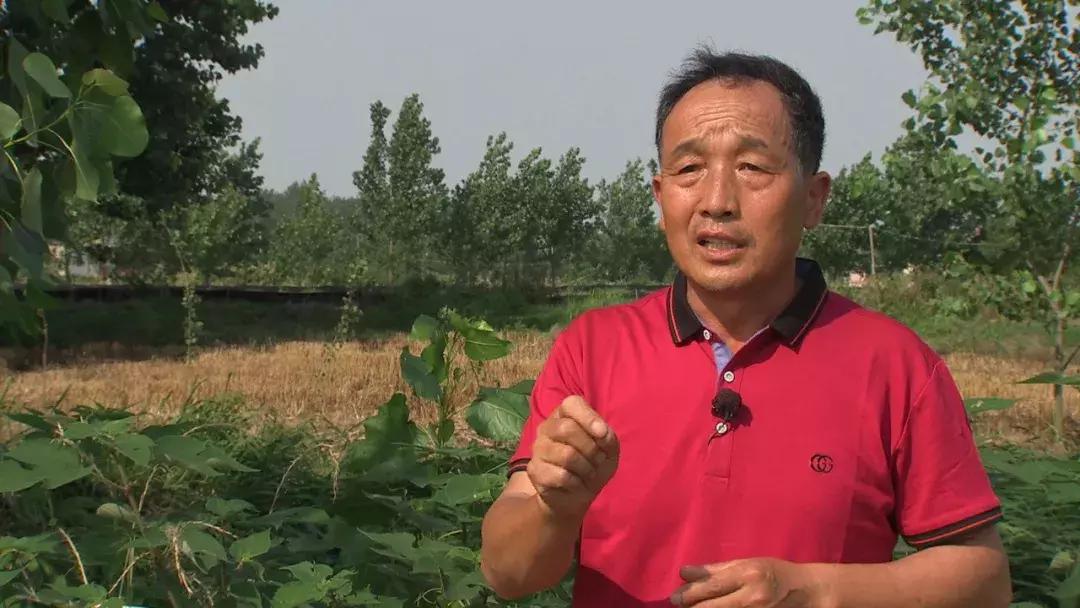 自己跑生意,自己跑业务做什么生意好