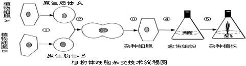 生物选修三1.1-1.3总结,生物选修一专题三