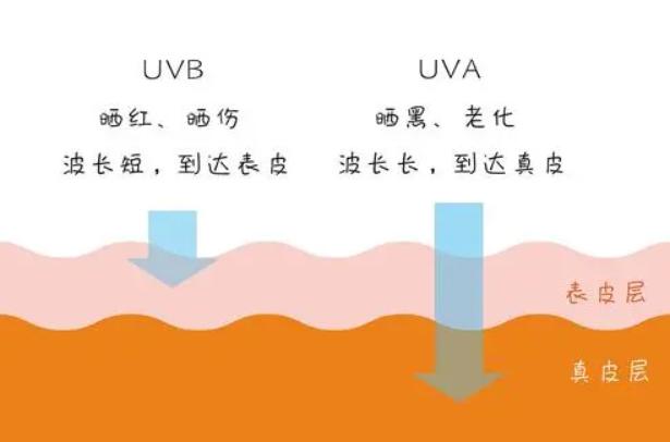 性价比最高的防晒霜推荐,性价比高防晒霜推荐排行榜