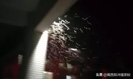 飞蚁大军空袭视频,飞蚁大军被空袭