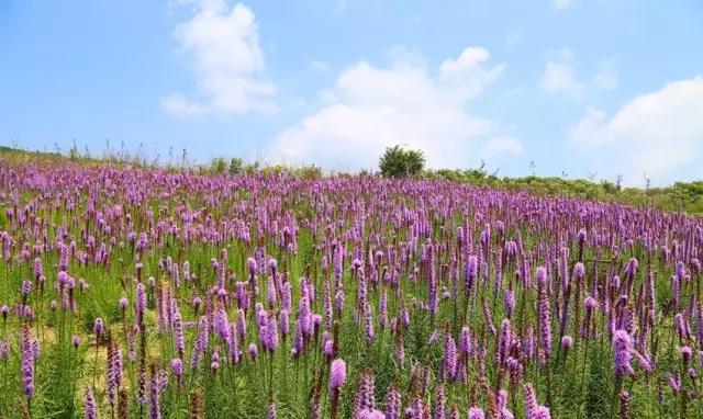 在宜昌的路上最美的风景,去感受大宜昌的美