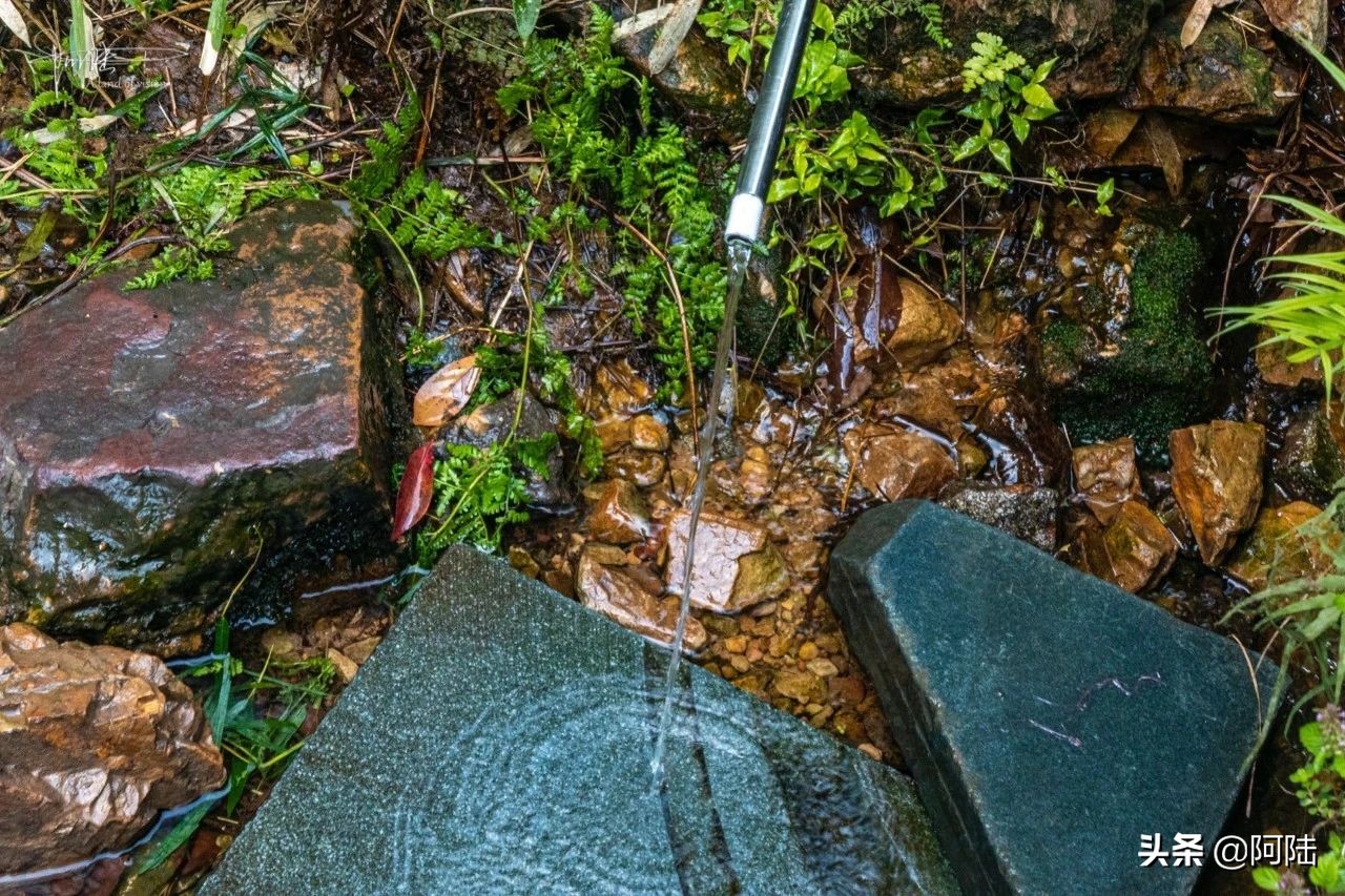 杭州虎跑泉水,杭州虎跑泉旅游攻略