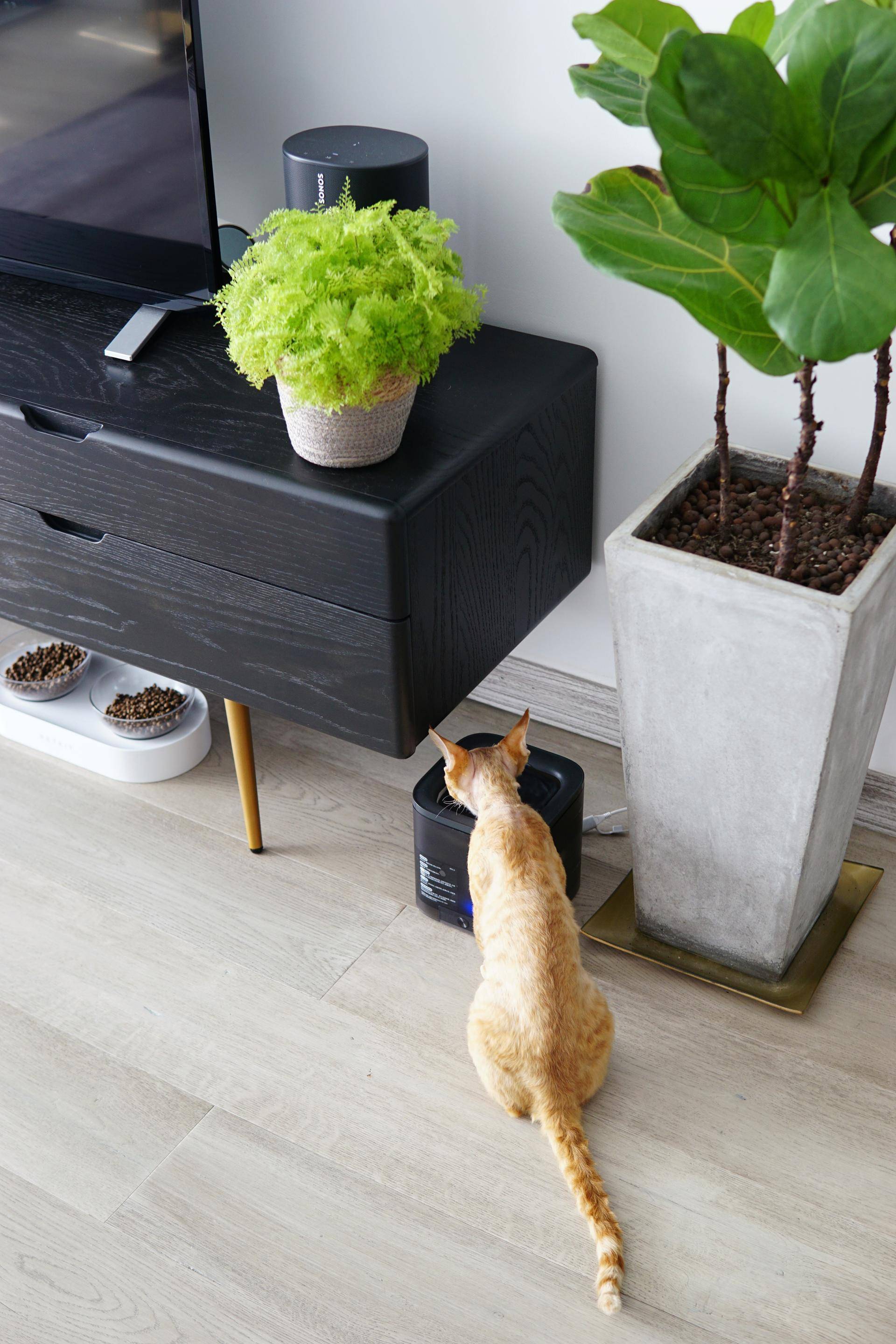 净热一体净水器佳尼特缺点,佳尼特冷热一体净水器缺点