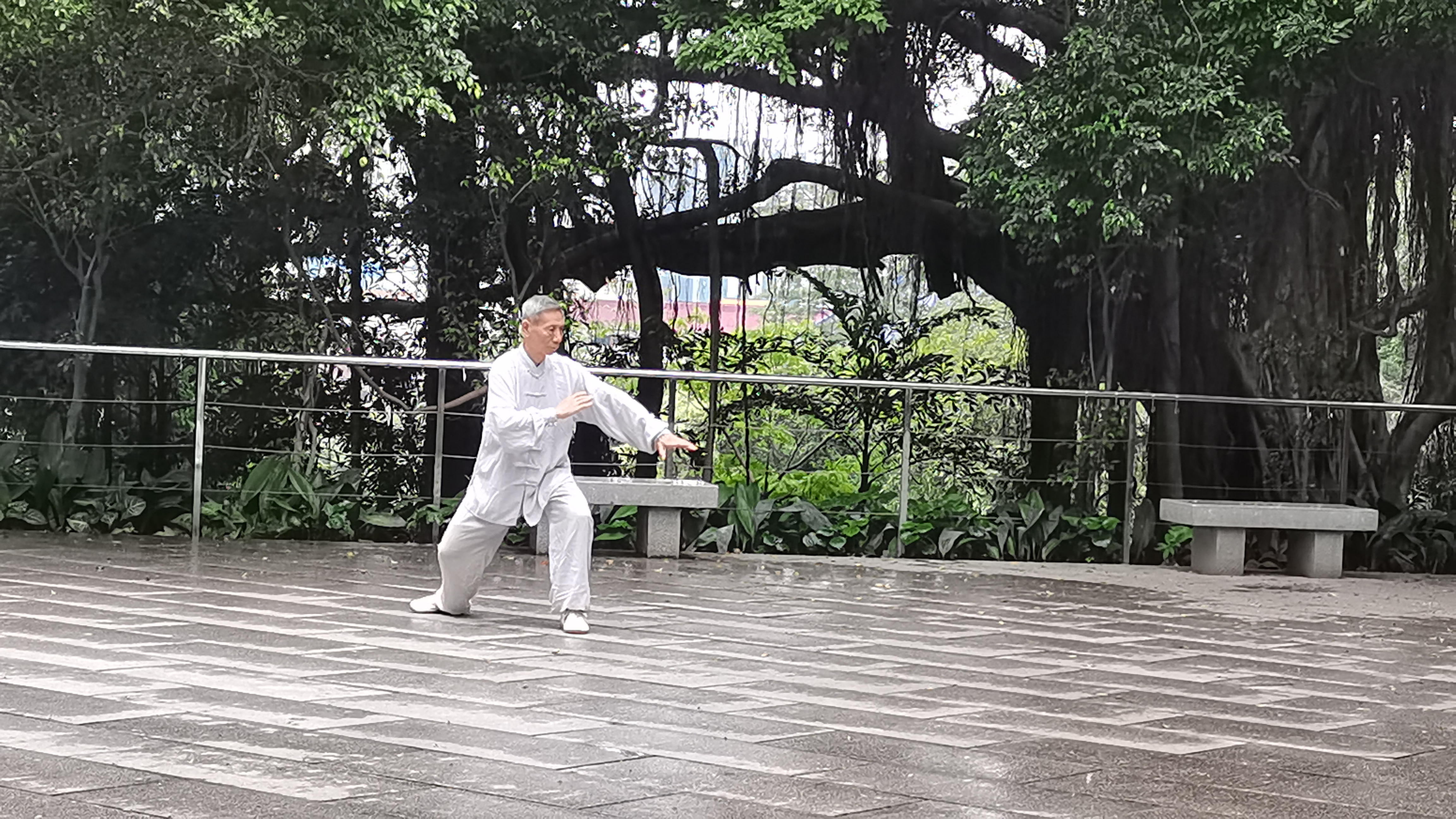 越秀公园研学过程,广州越秀青少年研学活动