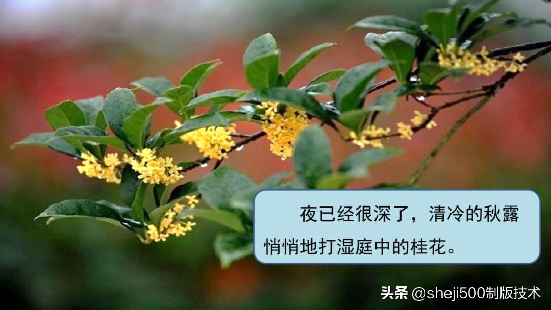 预习第3单元古诗三首六下,六年级下册语文3古诗三首知识点