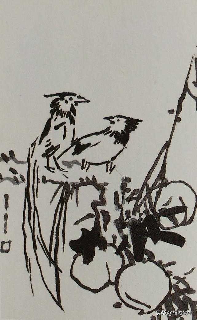 国画飞着绶带鸟的画法步骤,国画绶带鸟的画法