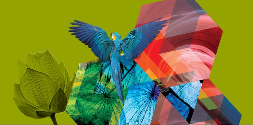 「设计师百坑系列」从*疆新**棉聊起——T恤印花的面料坑