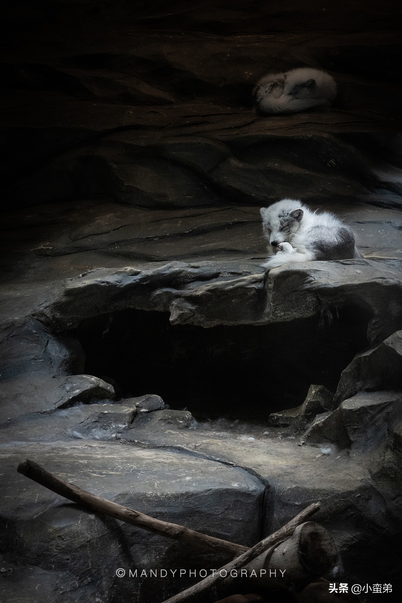 香港巡礼|是谁！敢拿水枪给20岁的海贼王庆生？