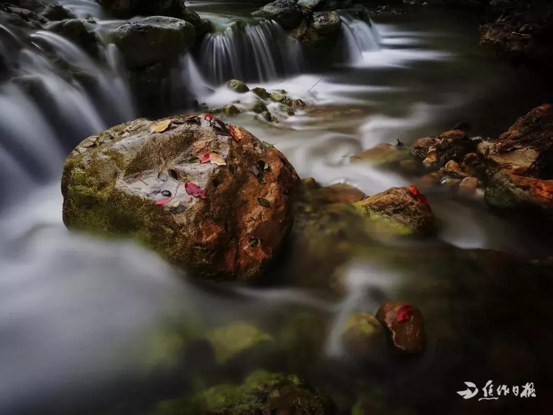 焦作钟彦医生,钟彦河南焦作