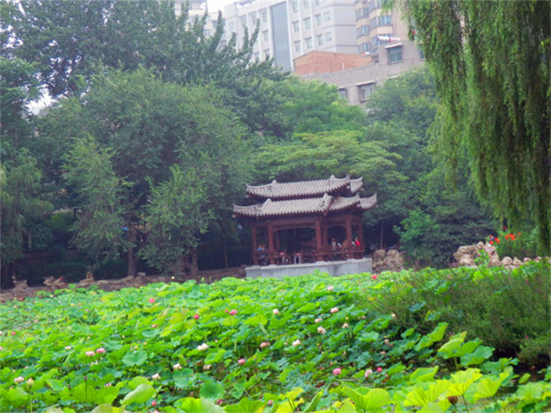 西安莲湖区20个旅游景点，3个是公园，其他17个历史底蕴丰厚