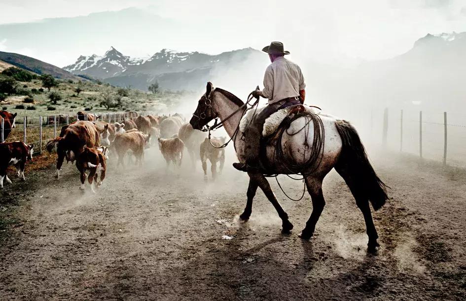 马背上的孤胆英雄:无马不欢的高乔人