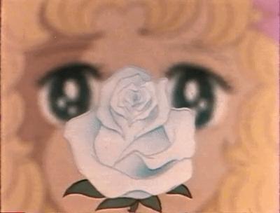 日本少女漫画罗曼史:从花物语到多元化的优美轨迹|张小玉