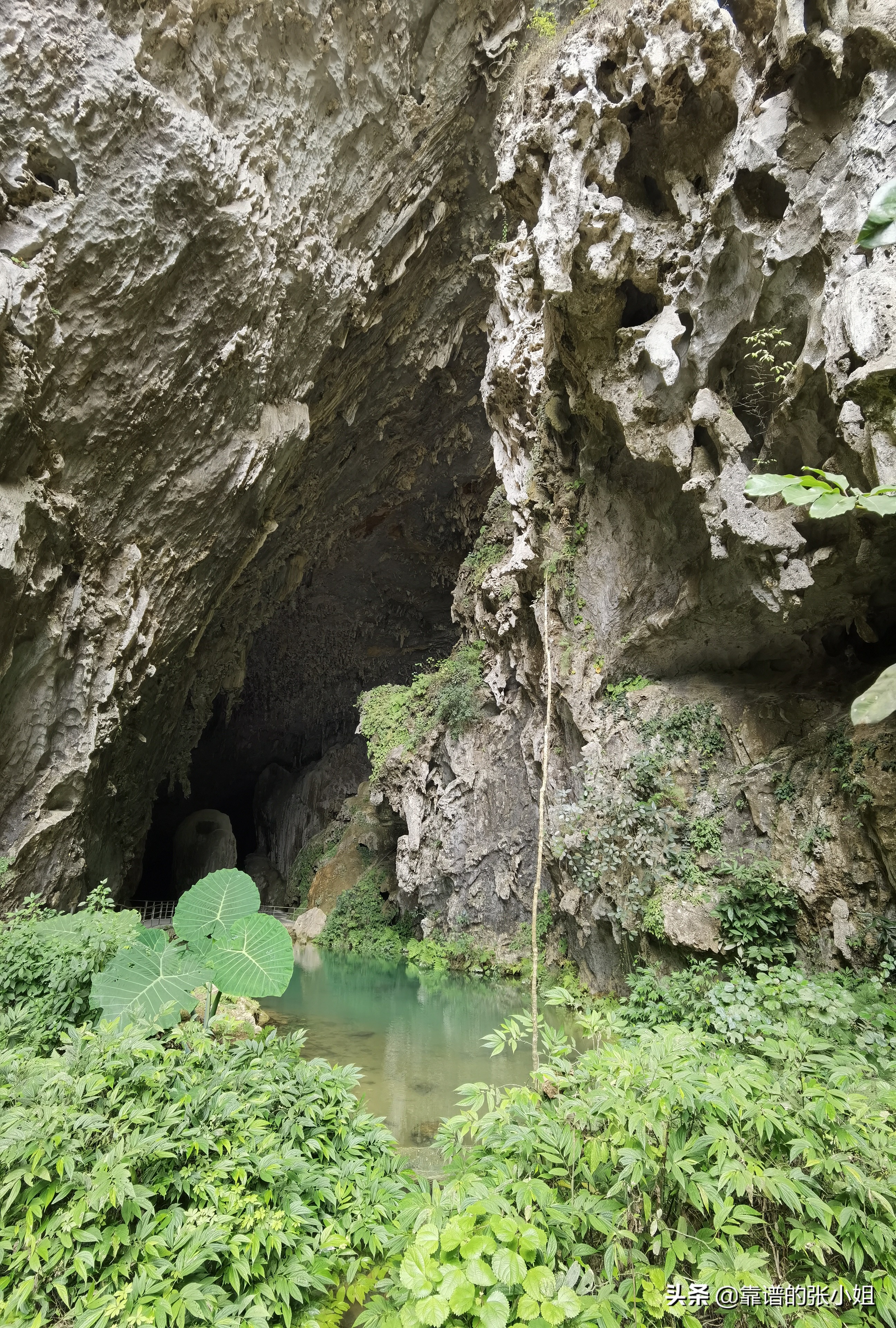 广西百魔屯成“神村”，山洞能治病喝水医百病？一天能来3万人
