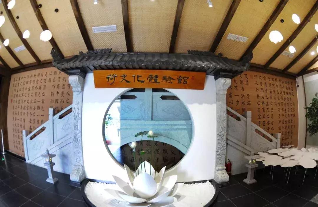 金湖荷花荡图片,金湖荷花荡介绍