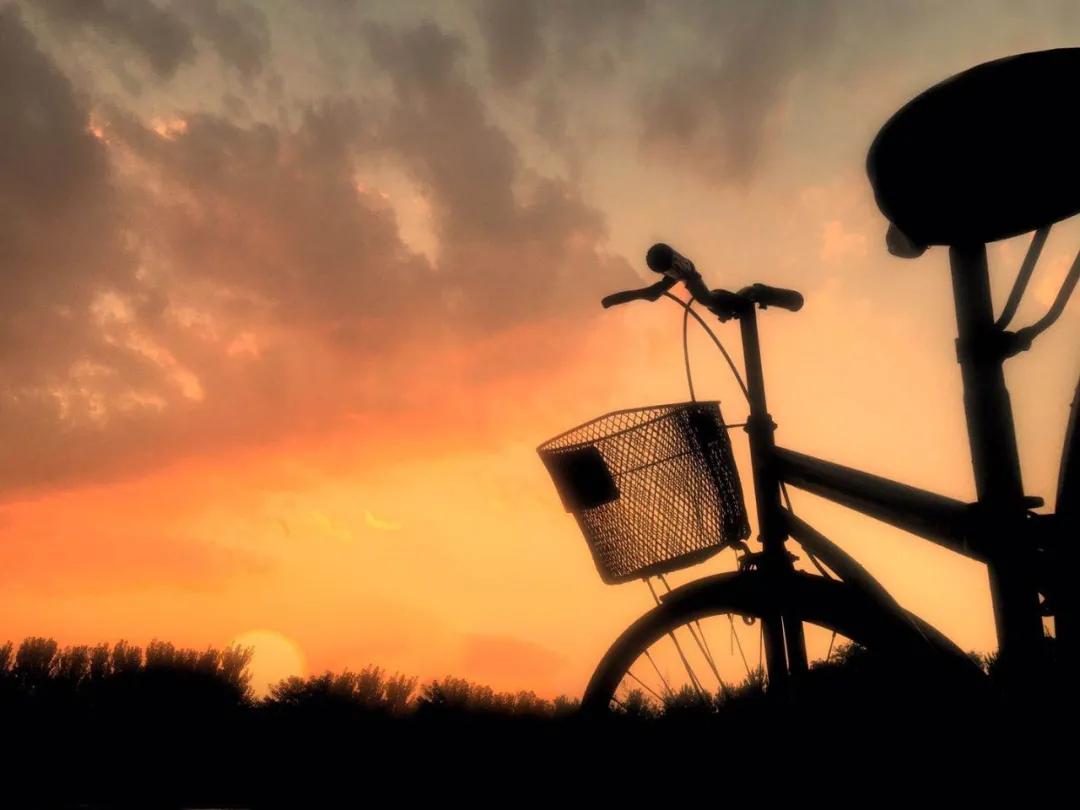 「第1期」2020年大美社群优秀作品回顾